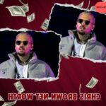 Chris Brown Net Worth 2024: Income, Investments and Financial Growth