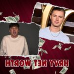 What is Hrvy's Net Worth in 2024: Comprehensive Financial Overview
