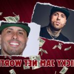 What is Nicky Jam's Net Worth in 2024: Financial Facts and Career Highlights