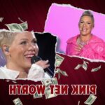 What is Pink's Net Worth in 2024: Sources of Wealth, Income/Salary & More