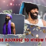 What is Spragga Benz Net Worth in 2024: Wealth, Income and Financial Information