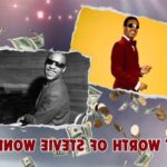 What is Stevie Wonder's Net Worth in 2024: Wealth, Income & Financial Information