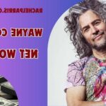 What is Wayne Coyne's Net Worth in 2024: Income Sources, Real Estate, Endorsements and More