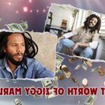 What is Ziggy Marley's Net Worth in 2024: Wealth, Income and Financial Information