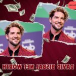 What is David Bisbal's Net Worth in 2024: Source of Wealth, Income/Salary & More