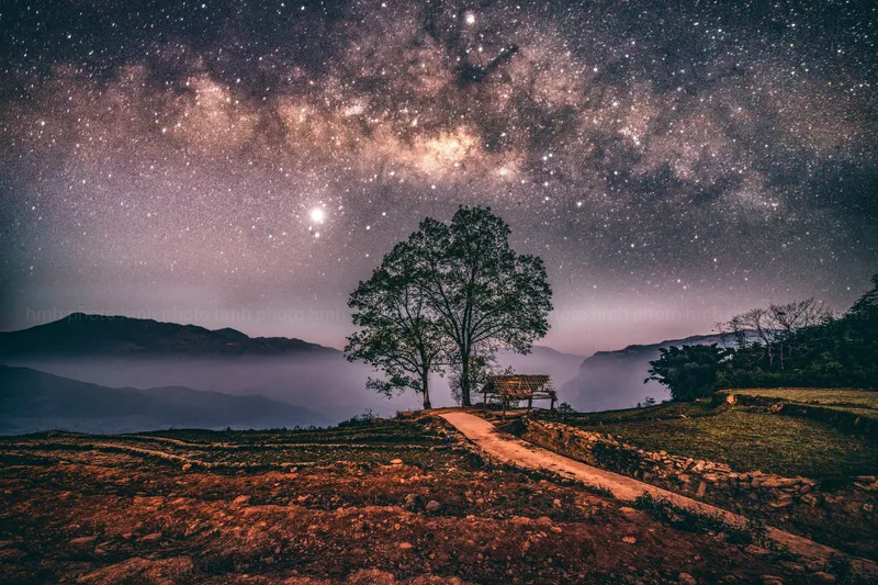 Avatar at Night Sky mang lại cảm giác bình yên và thơ mộng