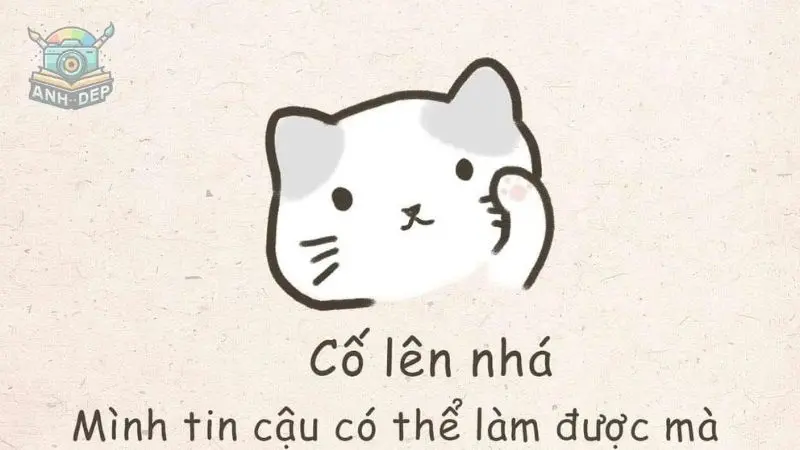 Vượt qua ngộ nghĩnh với bộ ảnh meme an ủi hài hước nhất