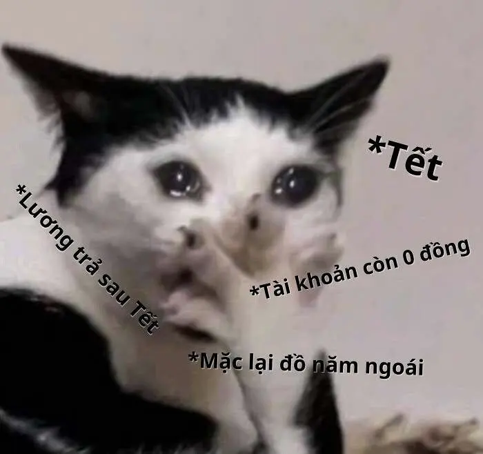 Meme hết tiền và câu nói hài hước