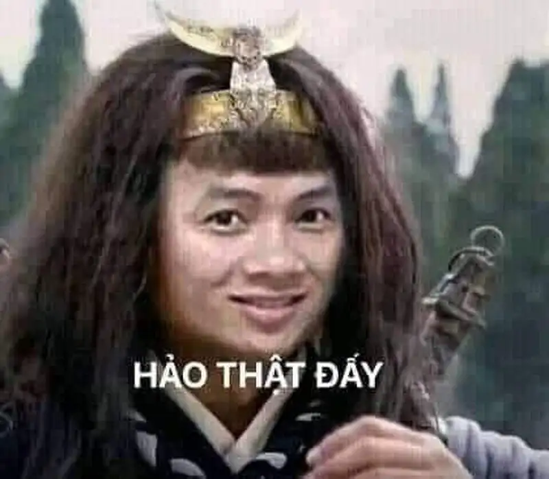 Khá hài hước meme thuy hu