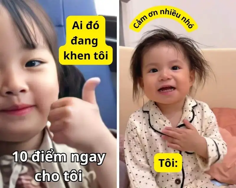 Cảm ơn bạn Meme để mang lại tiếng cười