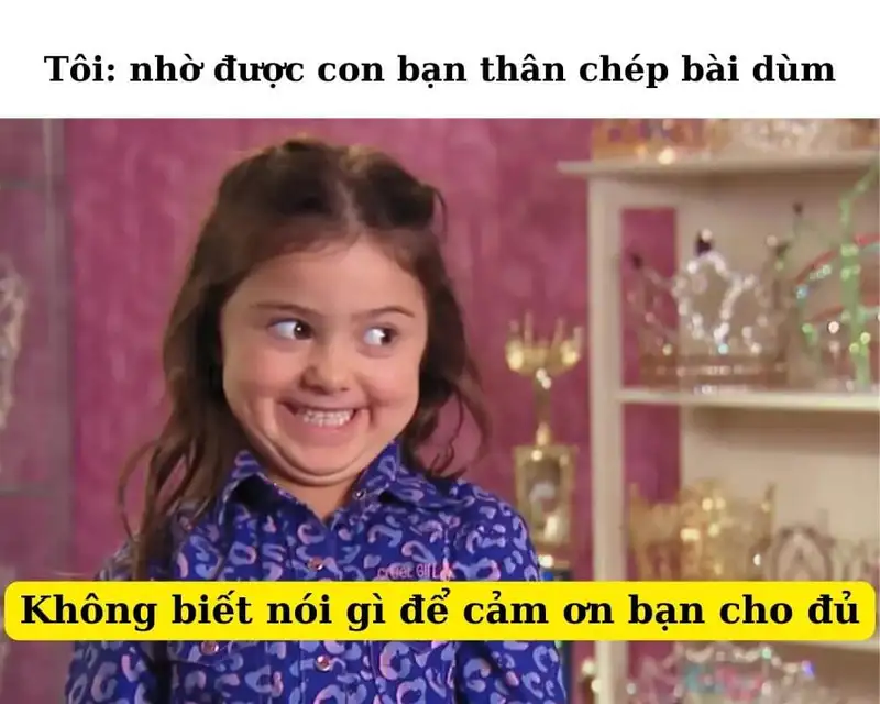 Cảm ơn bạn Meme làm cho người xem cười