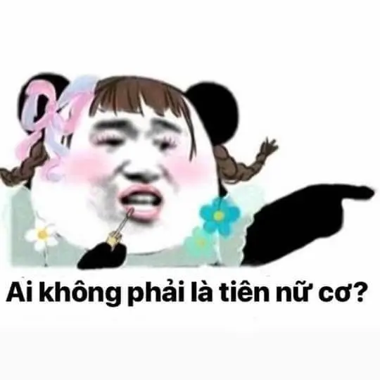 Nữ Fairy Meme thật buồn cười