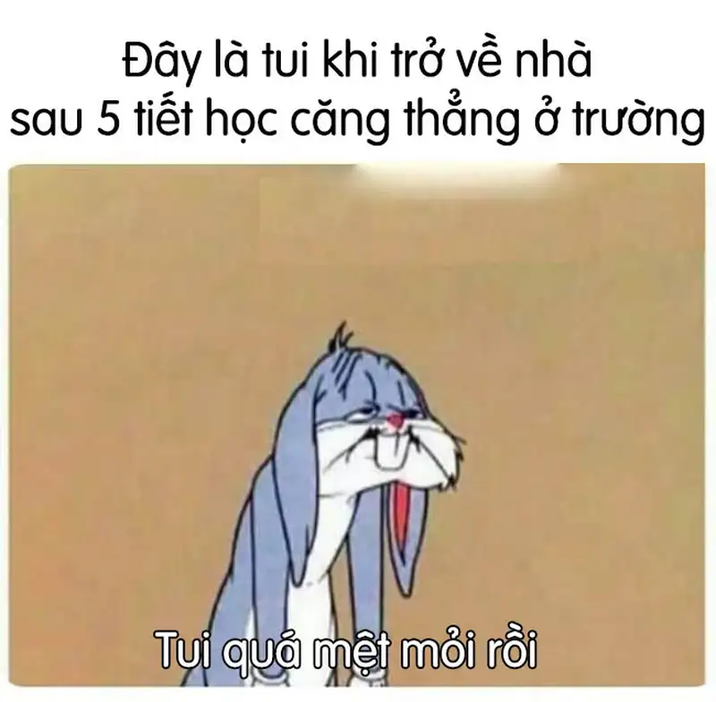 MEME mệt mỏi khiến người xem không ngừng cười