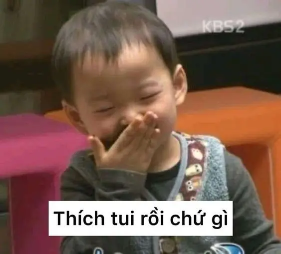 Meme sợ với những biểu cảm dễ thương