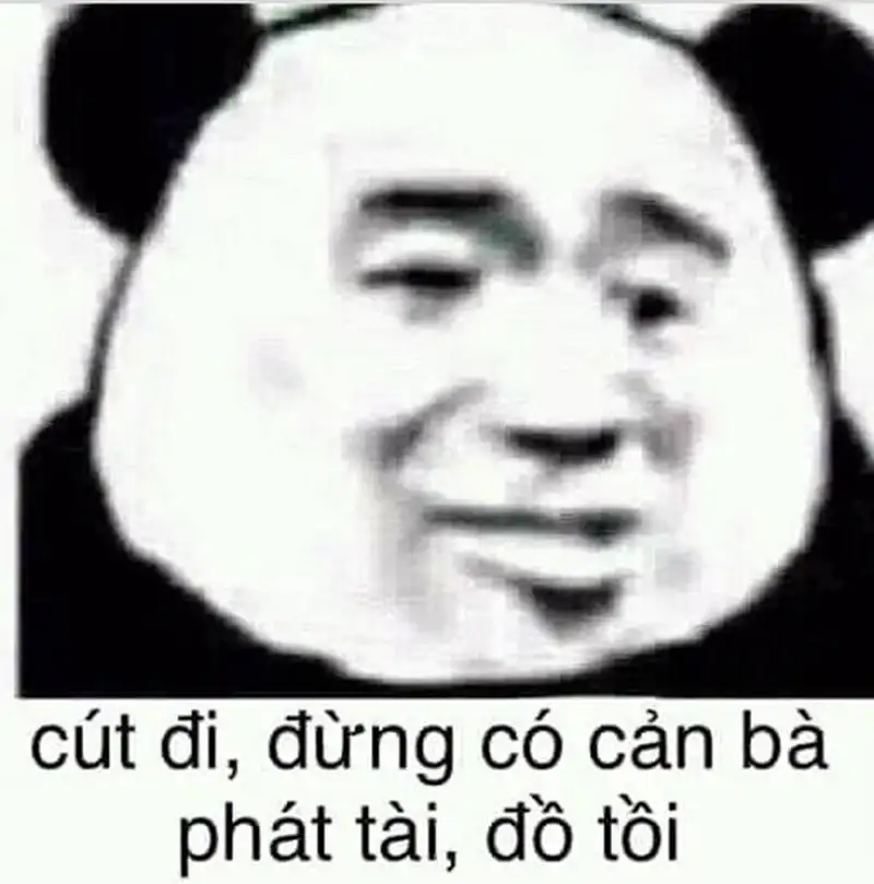 Meme vui nhộn và sáng tạo