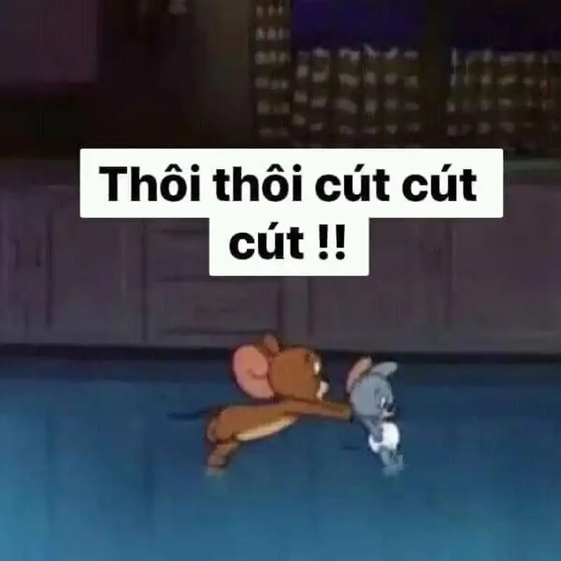 Meme Quail mang đến tiếng cười