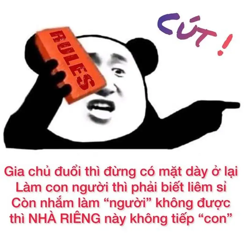 Meme chim cút dễ thương rất khó cưỡng lại