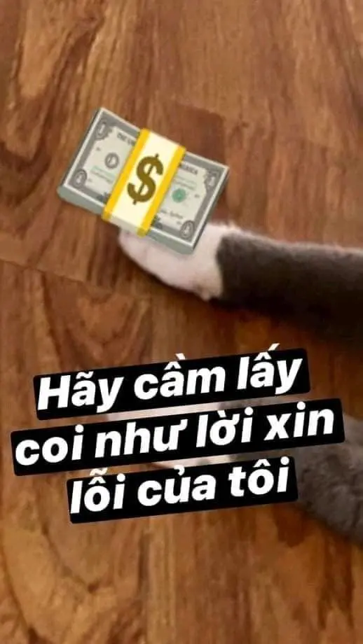 Meme tiền với khuôn mặt hài hước khó quên