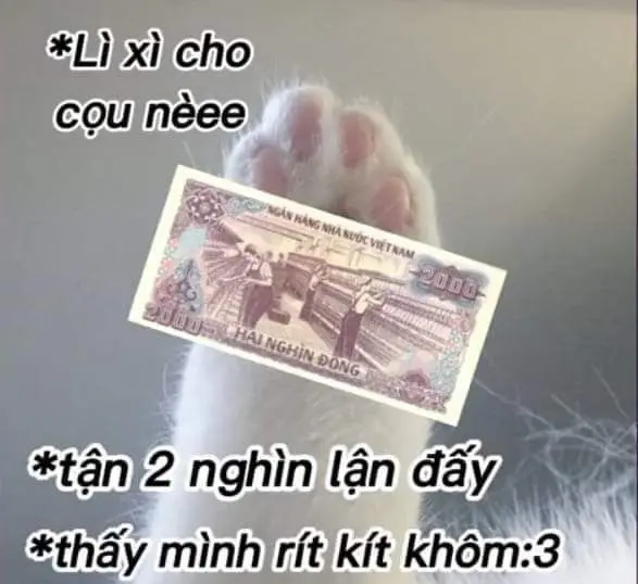 Meme là động lực tích cực