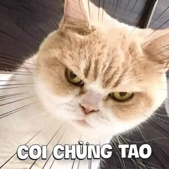 Meme tức giận giúp bạn chia sẻ những khoảnh khắc căng thẳng một cách hài hước