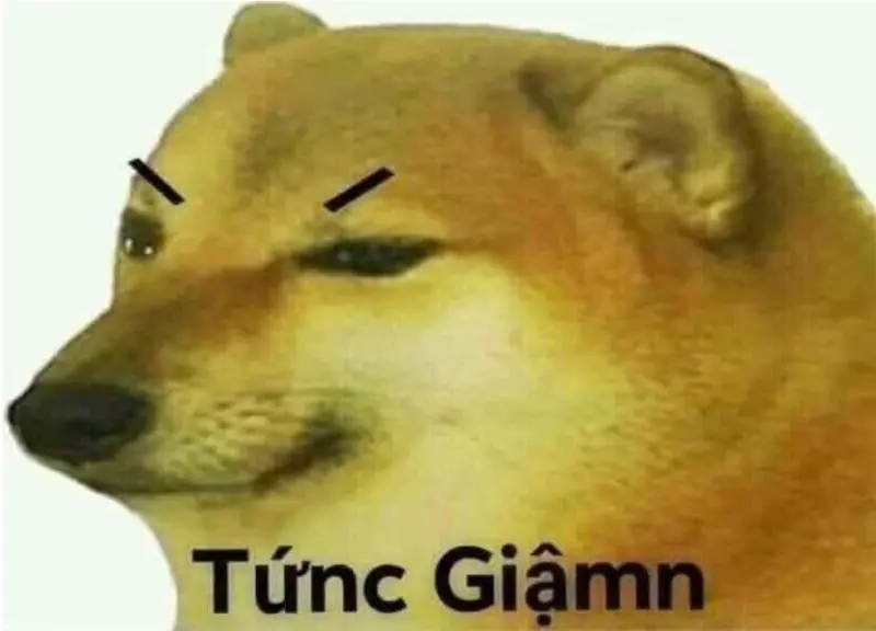 Meme tức giận có thể giảm bớt sự tức giận qua tiếng cười