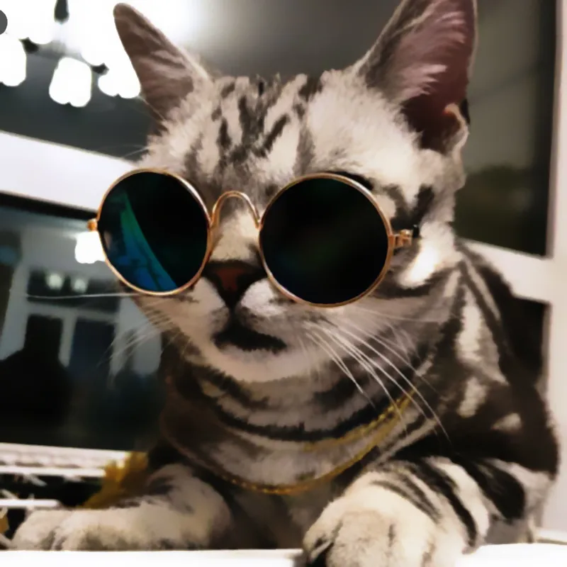 Avatar Cat Cool 31