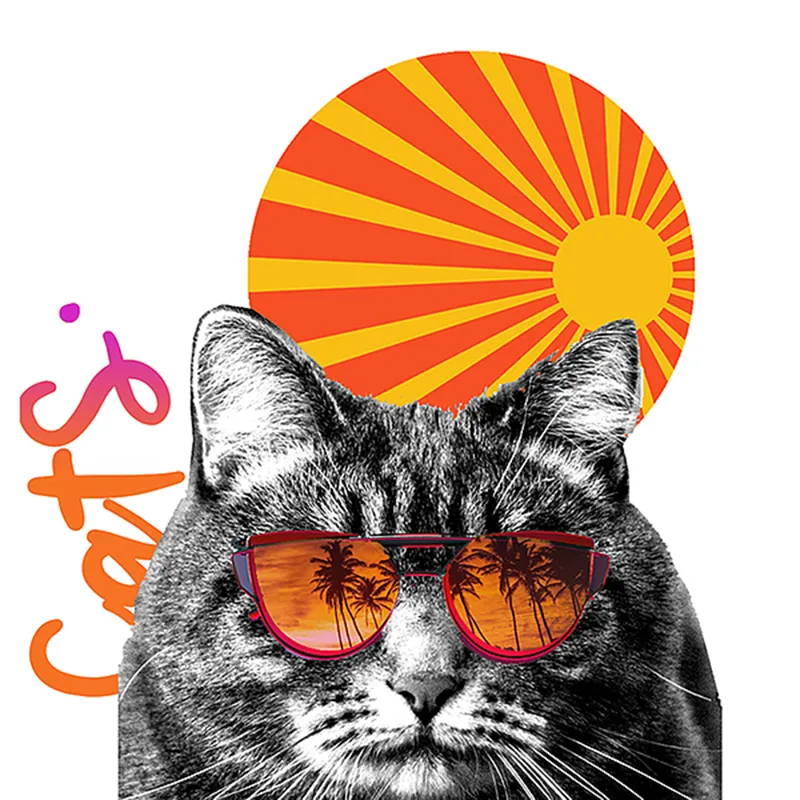 Avatar Cat Cool 40