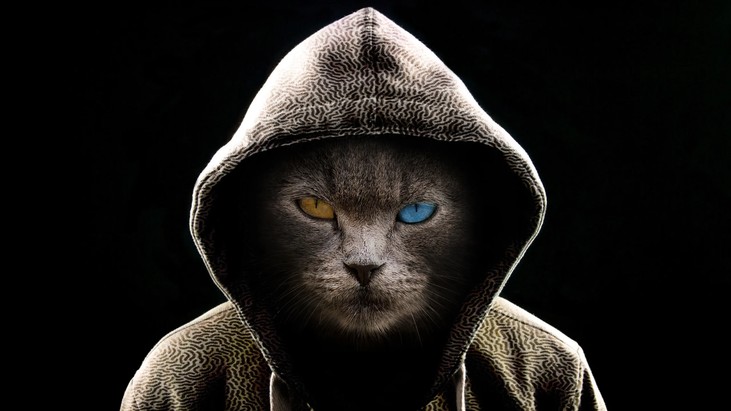 Cat Cat Avatar 59