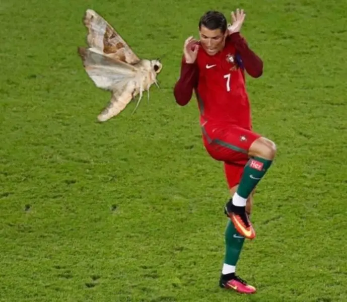 Meme Ronaldo sợ hãi