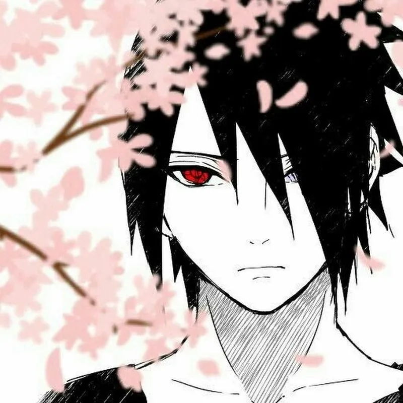 Hình ảnh của Sasuke Uchiha cho thấy mạnh mẽ