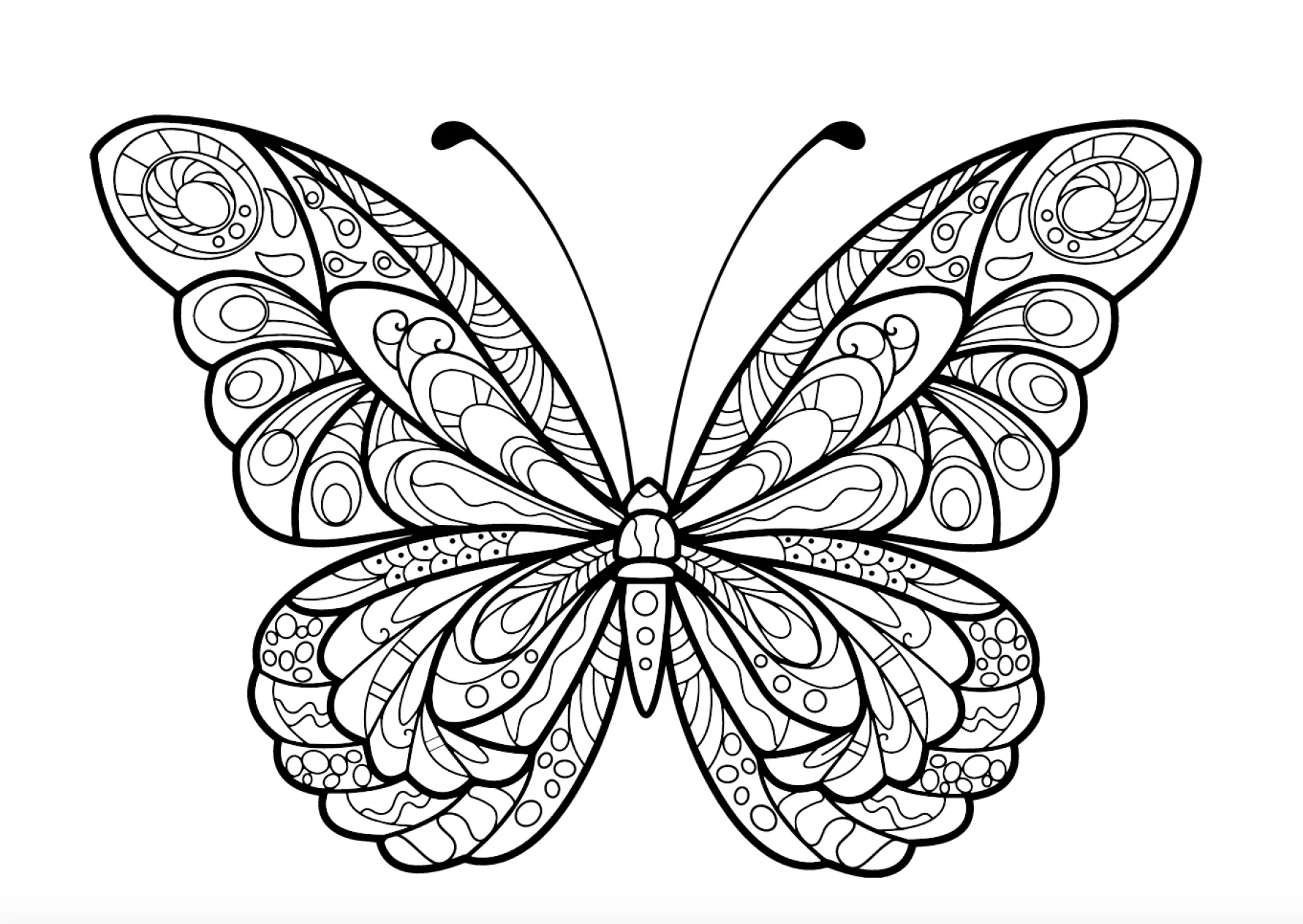 Coloring the brilliant butterfly, helping the baby to develop the color scheme.