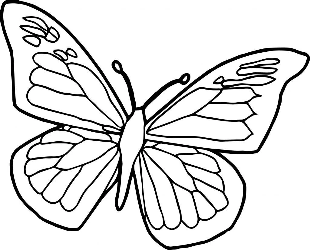 Coloring the butterfly - useful activities to help children love nature more.