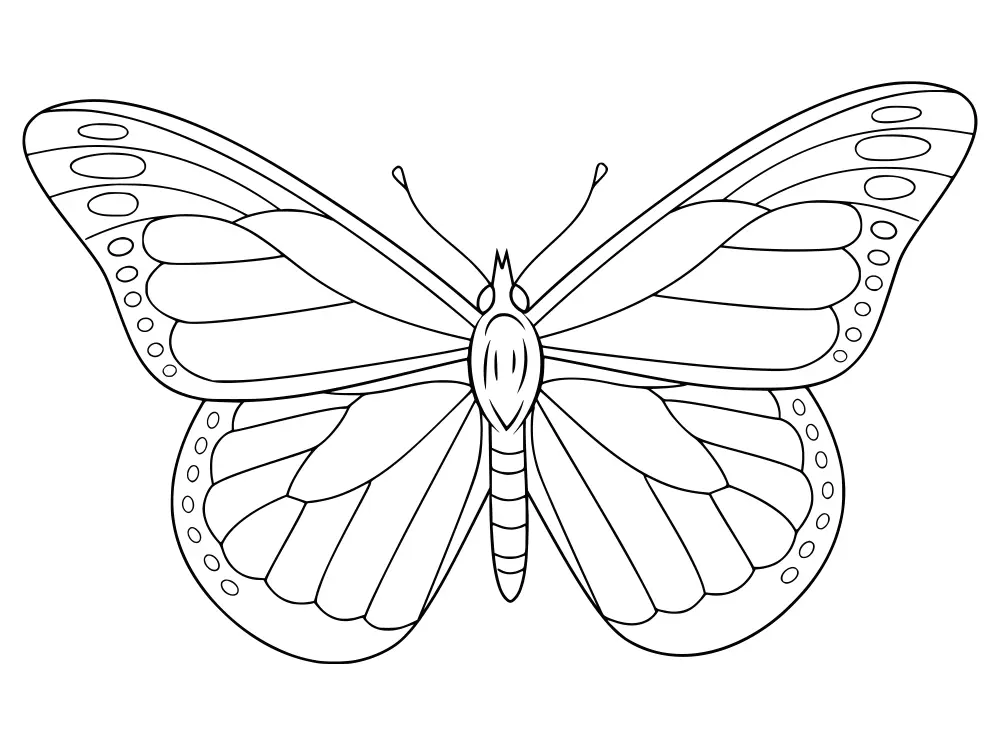 Coloring the butterfly - Interesting activity helps children develop creative ability.