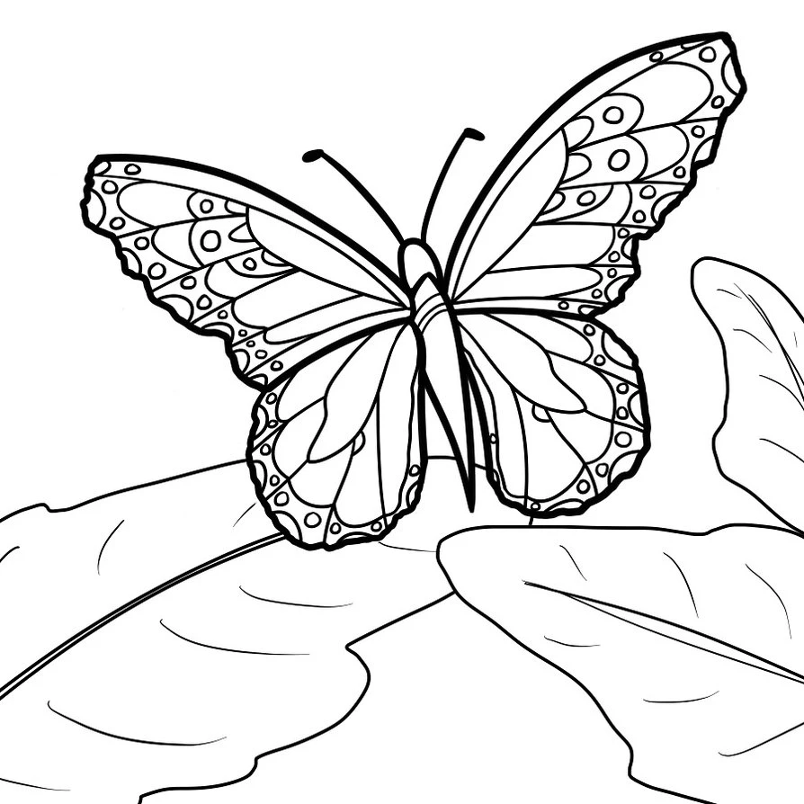 Download free butterflies to help your baby develop creative thinking.