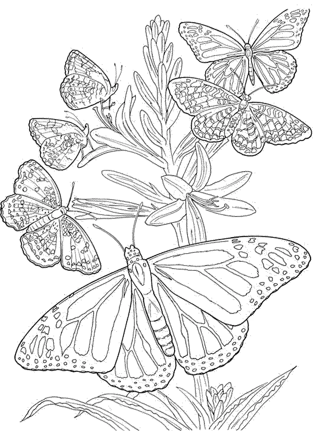 Coloring cute butterflies, children will love the art of painting.