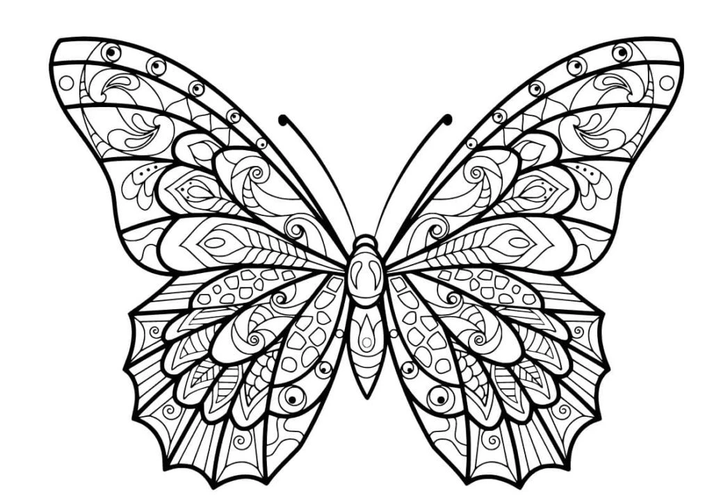 Babies will enjoy the colorful and cute butterfly coloring paintings.