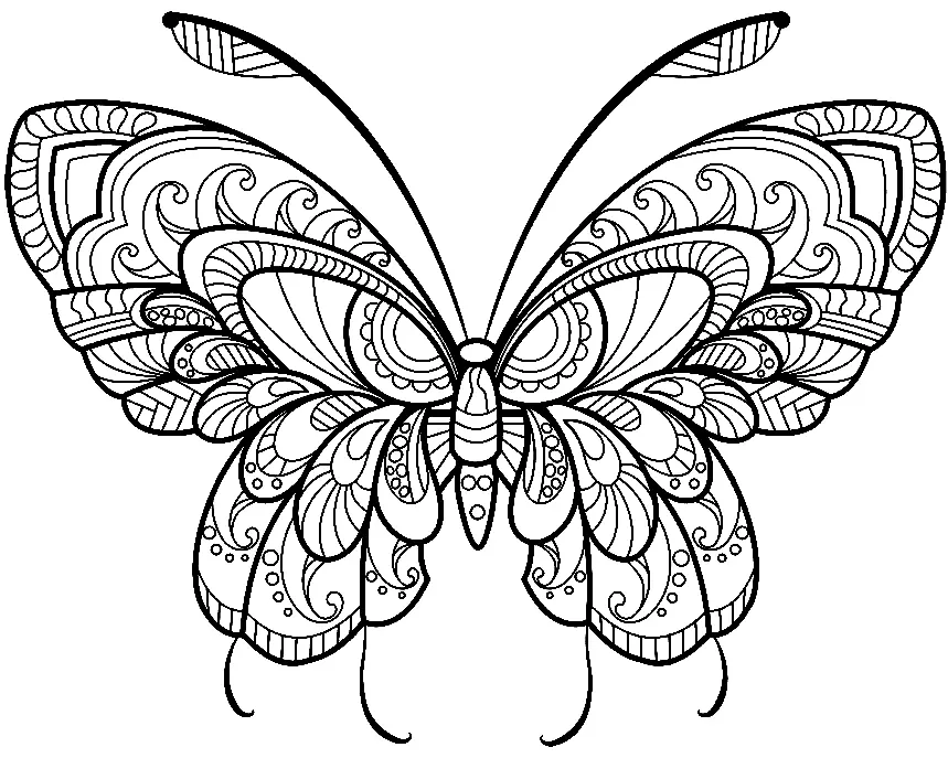 Download free coloring butterflies to help children develop coloring skills.