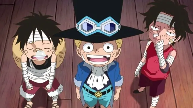 Cuộc hành trình trưởng thành bắt đầu từ bức ảnh của Luffy khi còn trẻ