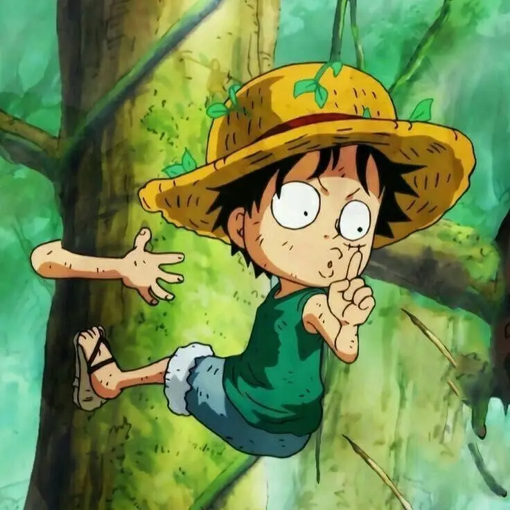 Luffy khi anh ấy còn trẻ, anh ấy đã gắn bó với gia đình và ngôi làng