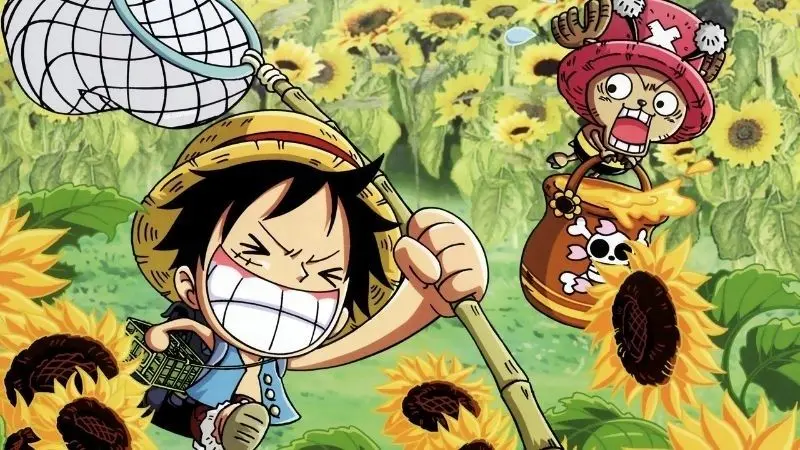 Hình ảnh luffy khi cảm hứng trẻ tuổi