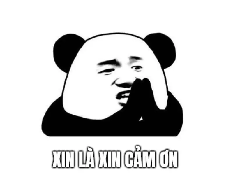 Meme cảm ơn dễ thương với dễ thương