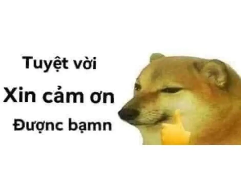 Meme cảm ơn dễ thương cho những khoảnh khắc vui vẻ