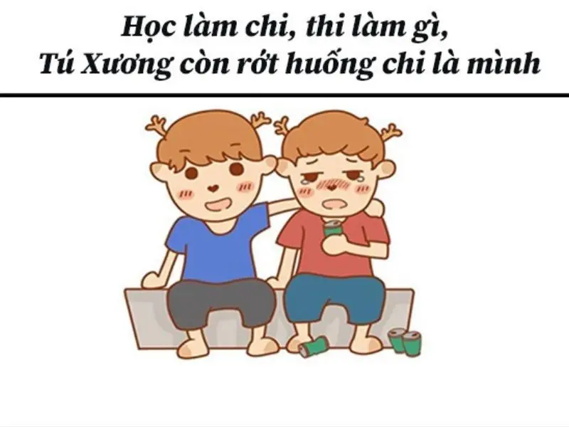 Meme an ủi ý nghĩa, sự hài hước và dí dỏm