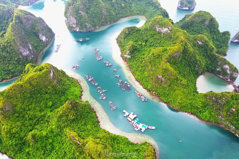 Ha Long Bay xuất hiện sống động trong mỗi bức ảnh