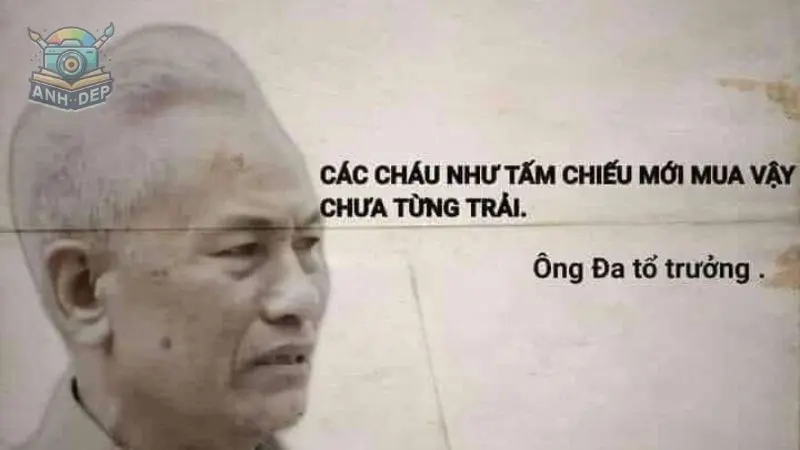 Bộ sưu tập ảnh meme chế hài hước độc đáo và sáng tạo nhất