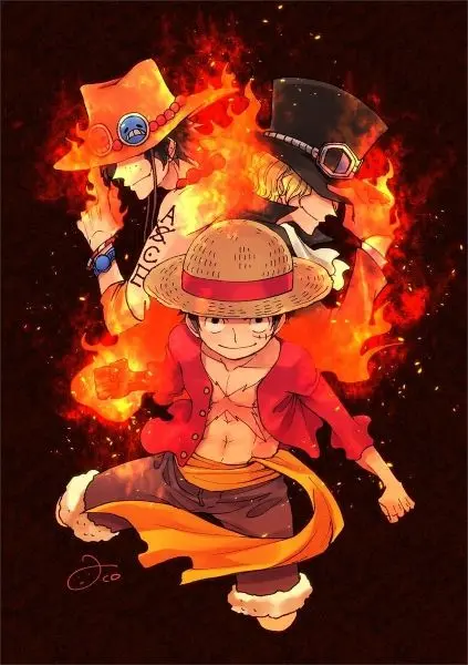 Tinh thần đồng đội trong mỗi bức ảnh của Luffy và bạn bè.