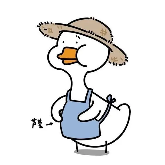 Avatar Duck Avatar, Biểu tượng của niềm vui và sự hài hước