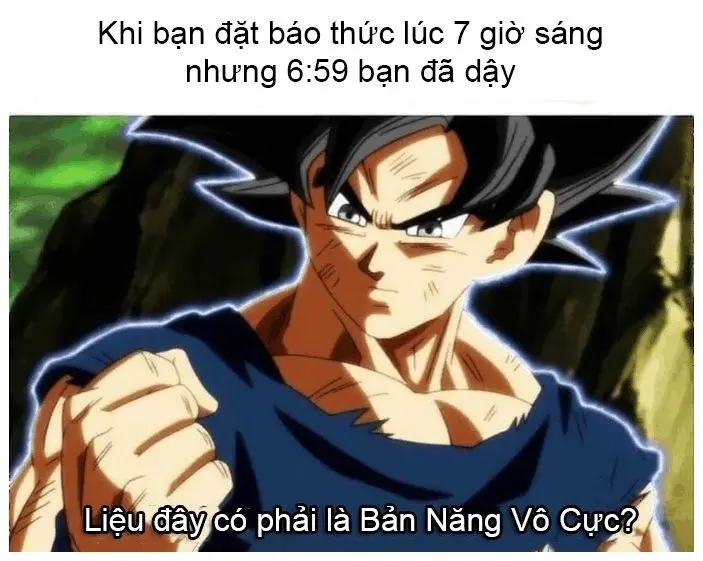 Meme hài hước cho các mạng xã hội