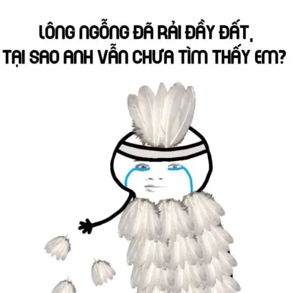 Meme độc ​​đáo cho bạn và bạn bè của bạn