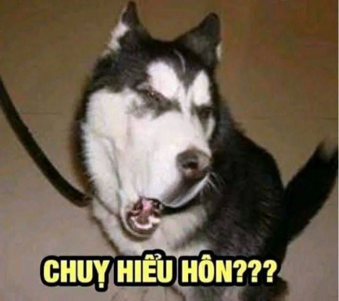 Meme vui nhộn làm cho vui